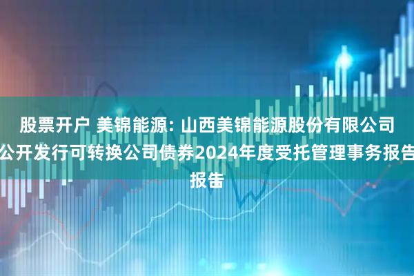 股票开户 美锦能源: 山西美锦能源股份有限公司公开发行可转换公司债券2024年度受托管理事务报告
