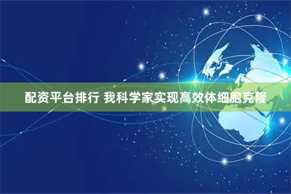 配资平台排行 我科学家实现高效体细胞克隆
